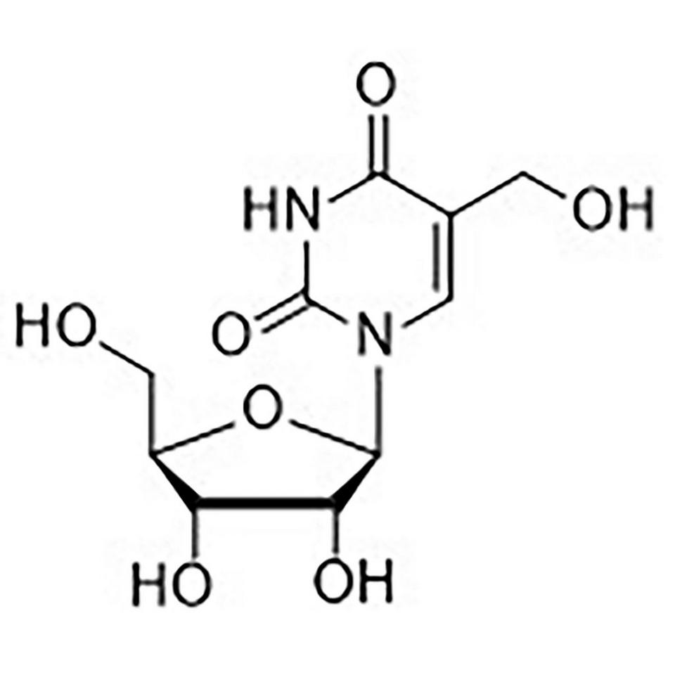 5-Hydroxymethyl Uridine